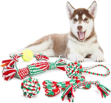 corde per cani