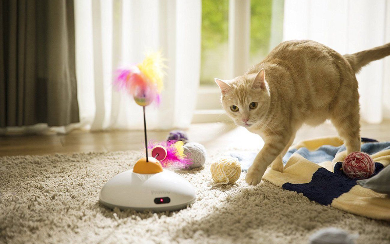 giochi per gatti