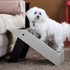 scale per cani